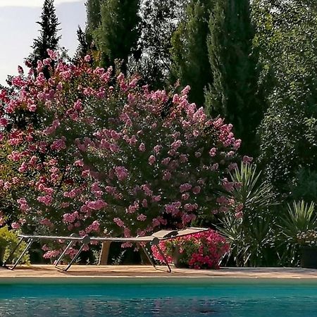 Barraca de Aguas Vivas Villa Isabelle מראה חיצוני תמונה